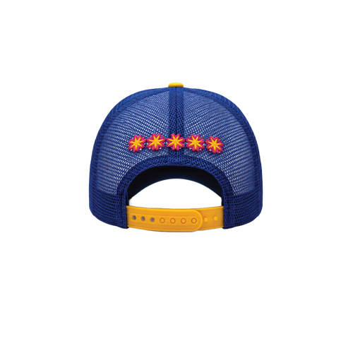 Afrosoul Chenille Two Tone Trucker Cap